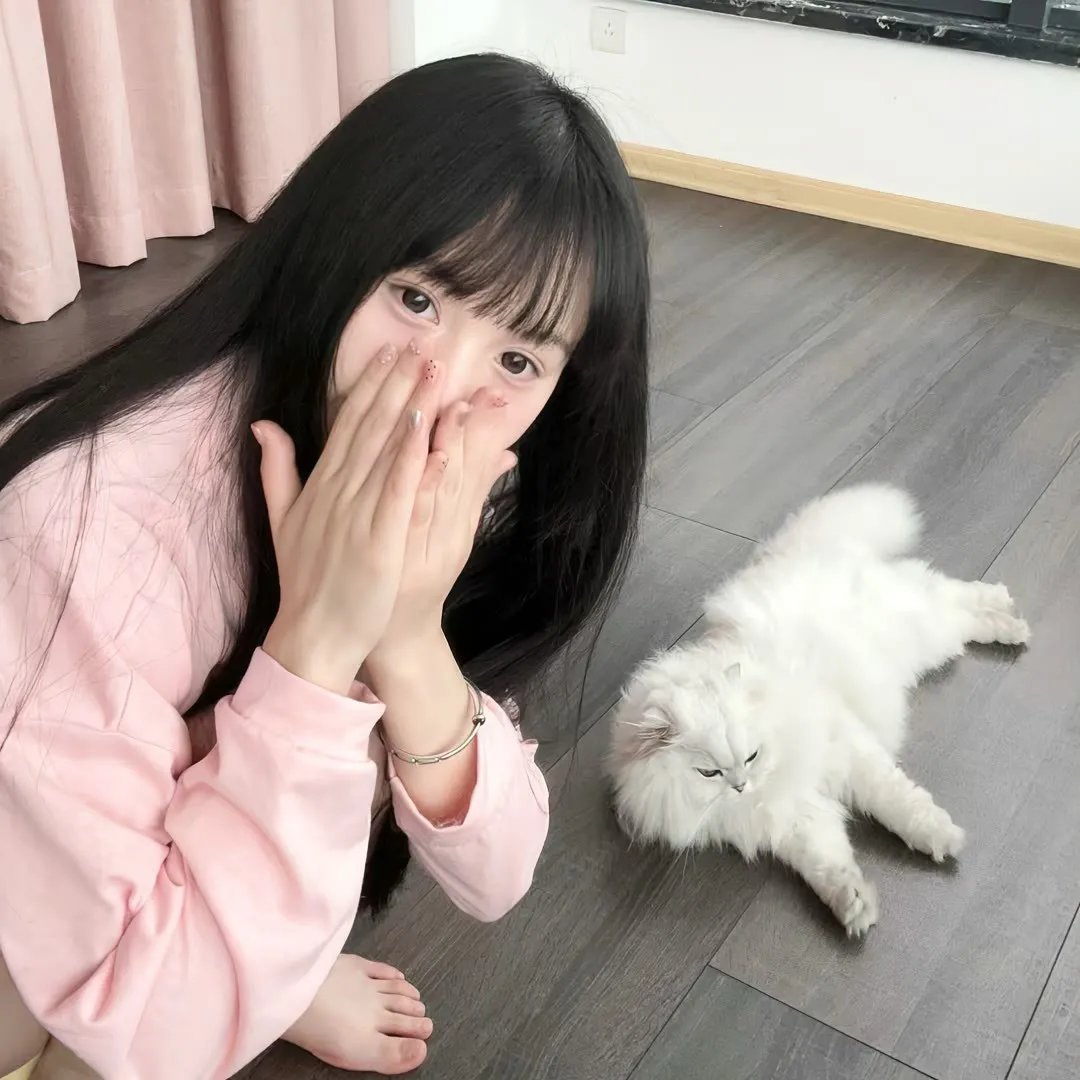 王的命令 第二季